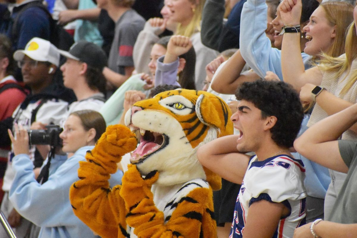 Albert Lea seniors cheering at the homecoming pepefest on Sept. 20.